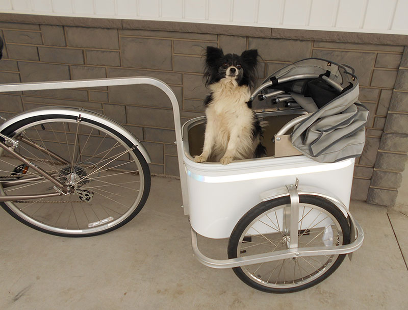 pet carts for bicycles