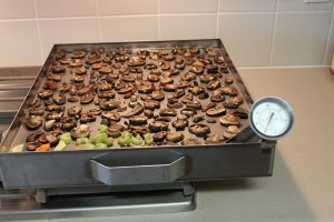 drying-mushrooms