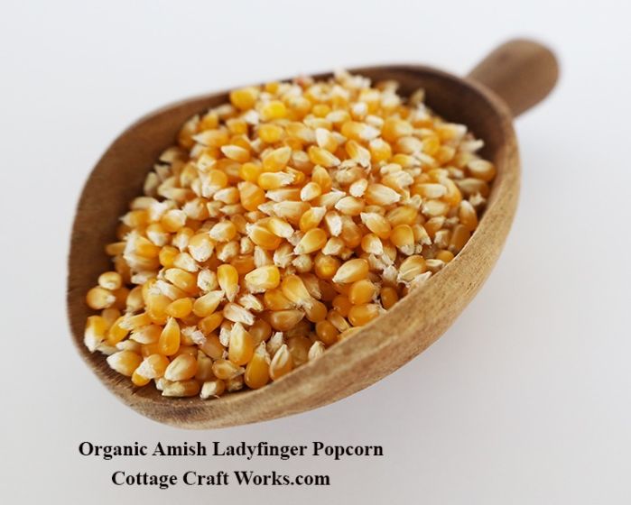 Amish Organic Ladyfinger Popcorn  