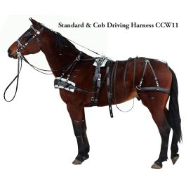 Breaking a Pony To Drive - Introduction – Riding & Harness Stuff