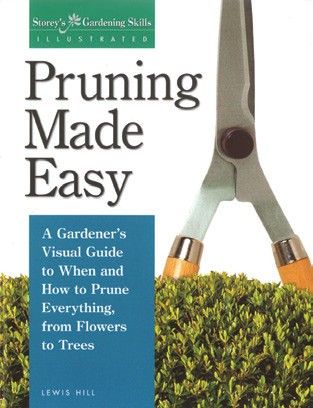 Pruning Made Easy