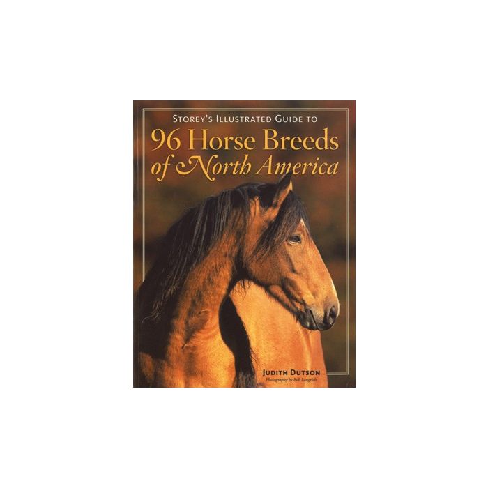 96 Horse Breeds of North America