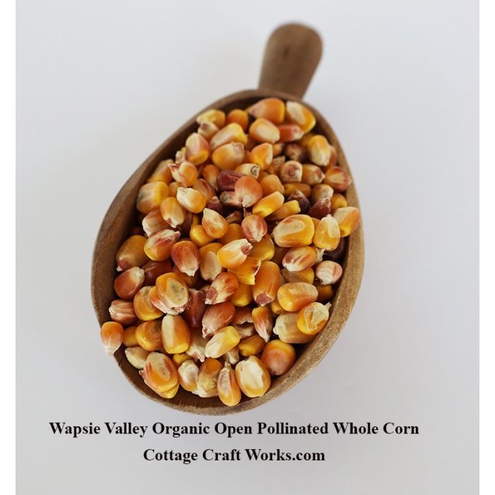 Amish Organic Whole Open Pollinated Corn 25 lb