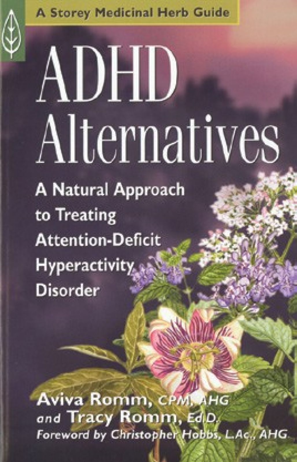 ADHD Alternatives