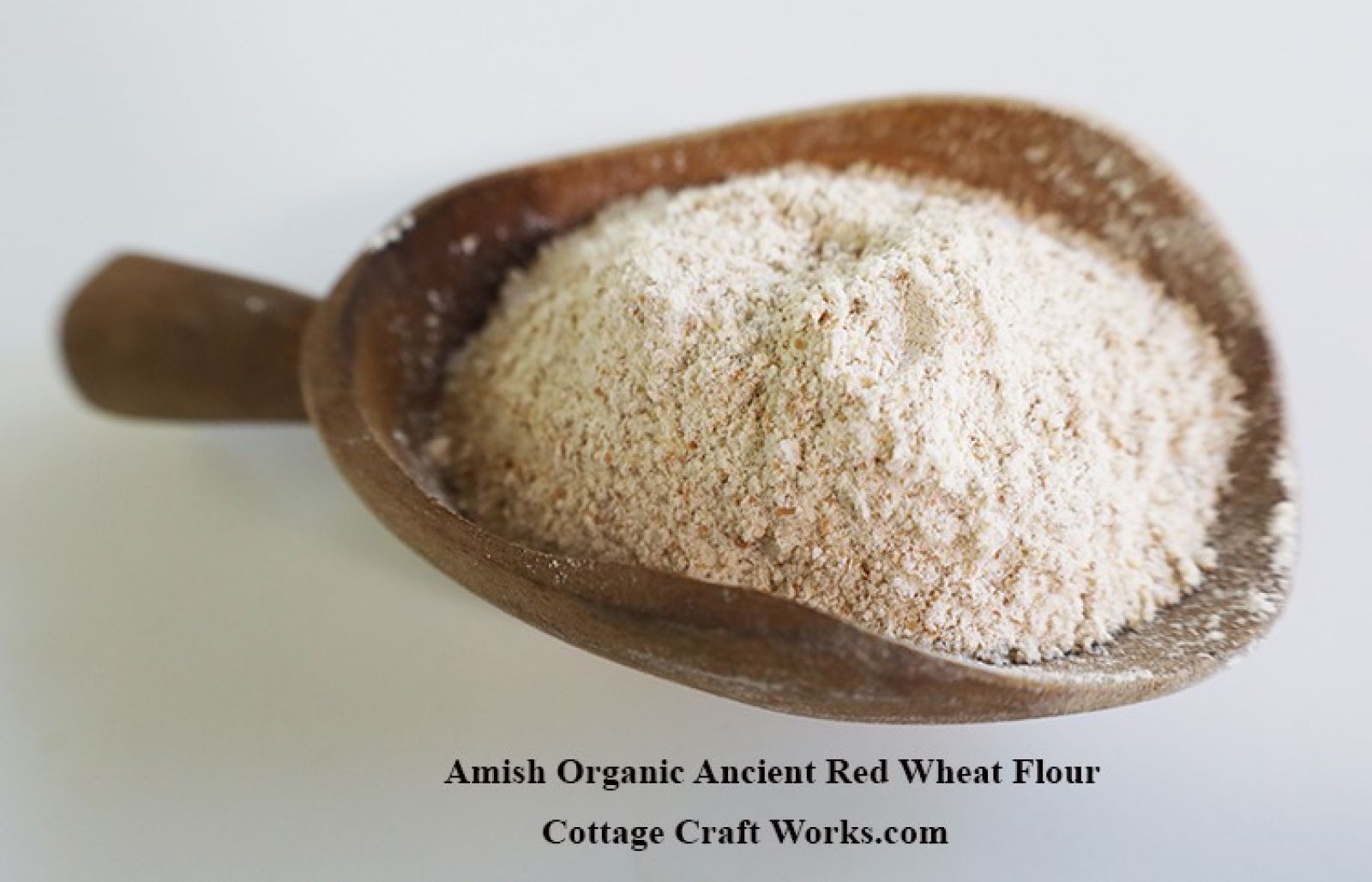 Amish Organic Ancient Red Wheat Flour 25 lb