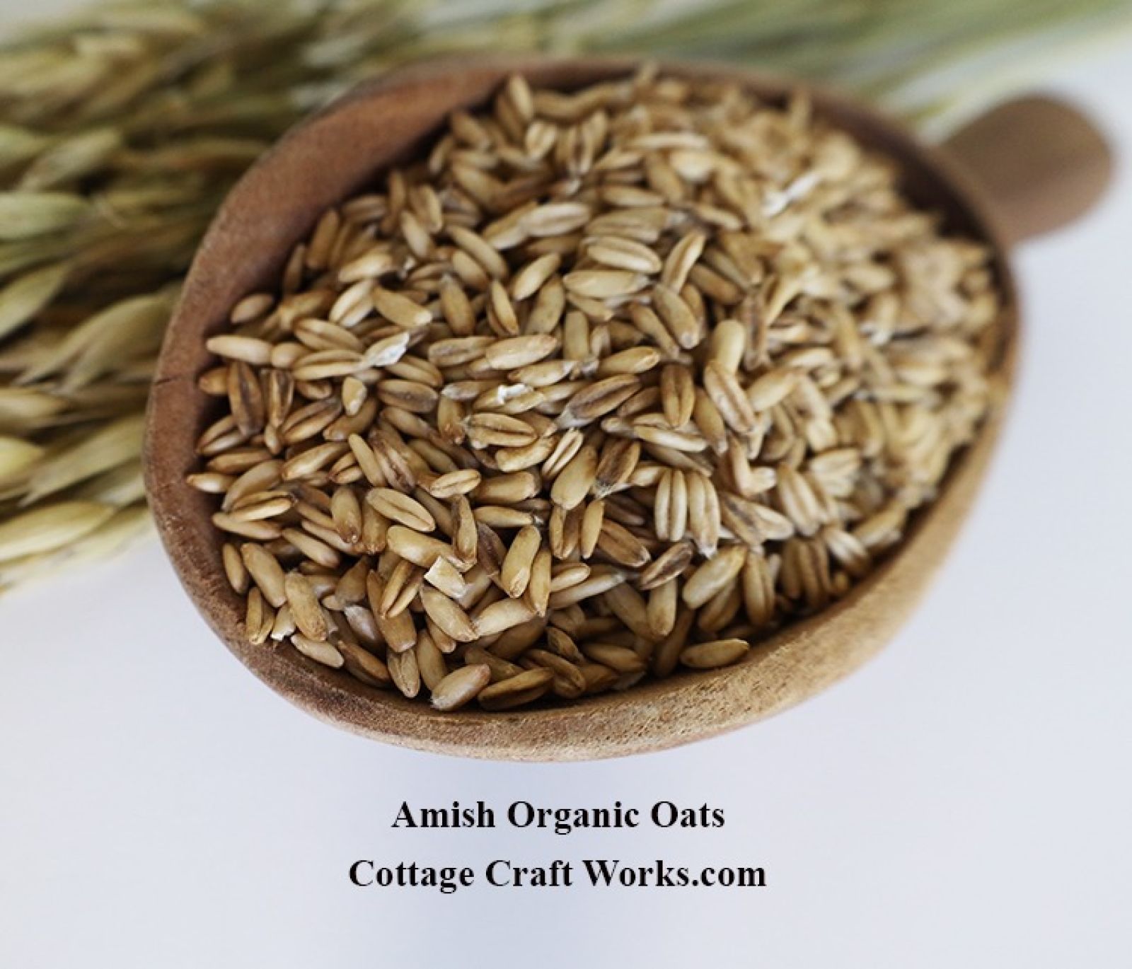 Amish Organic Oat Berry Hulled 25 lb