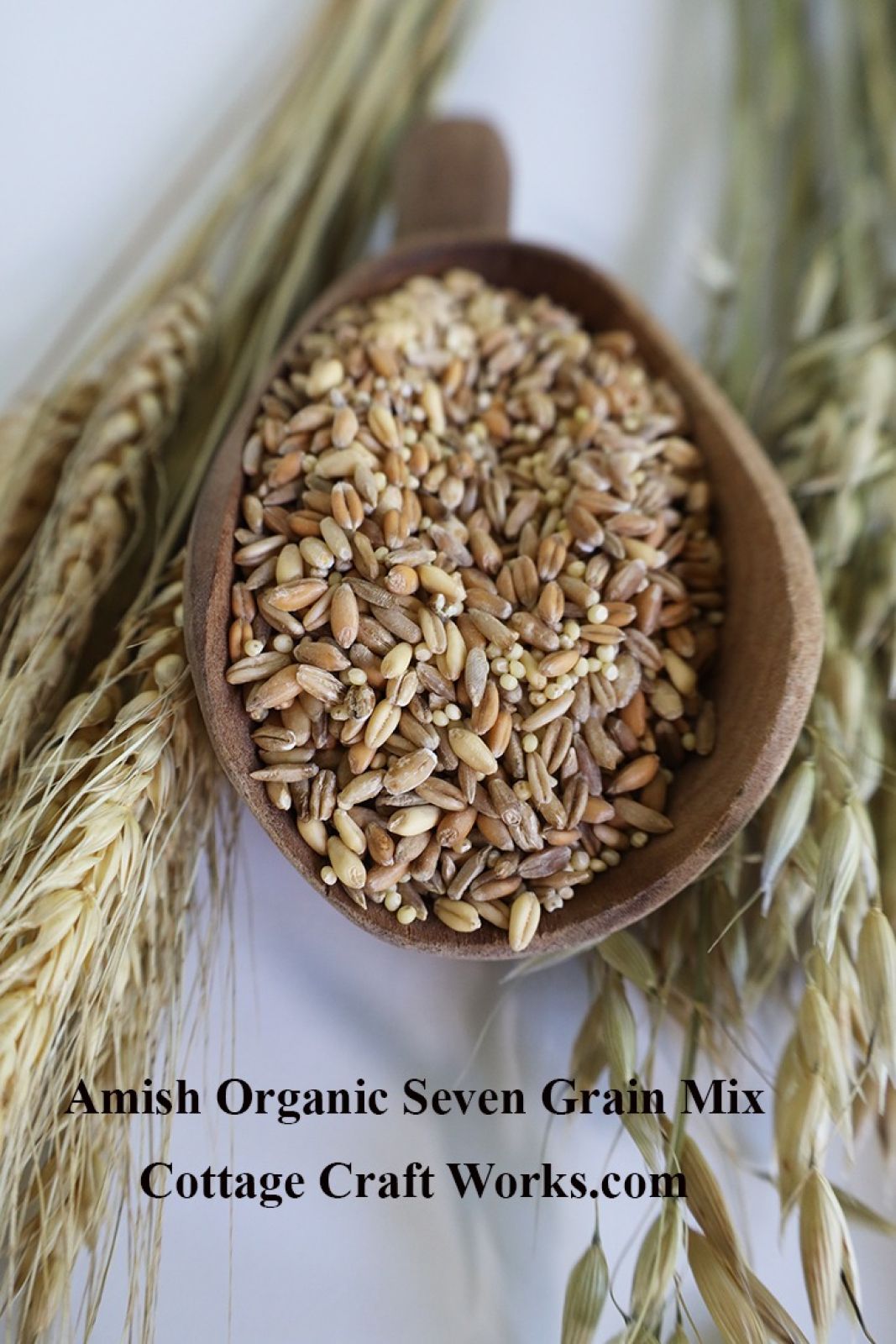 Amish Organic Seven Grain Mix 25 lb