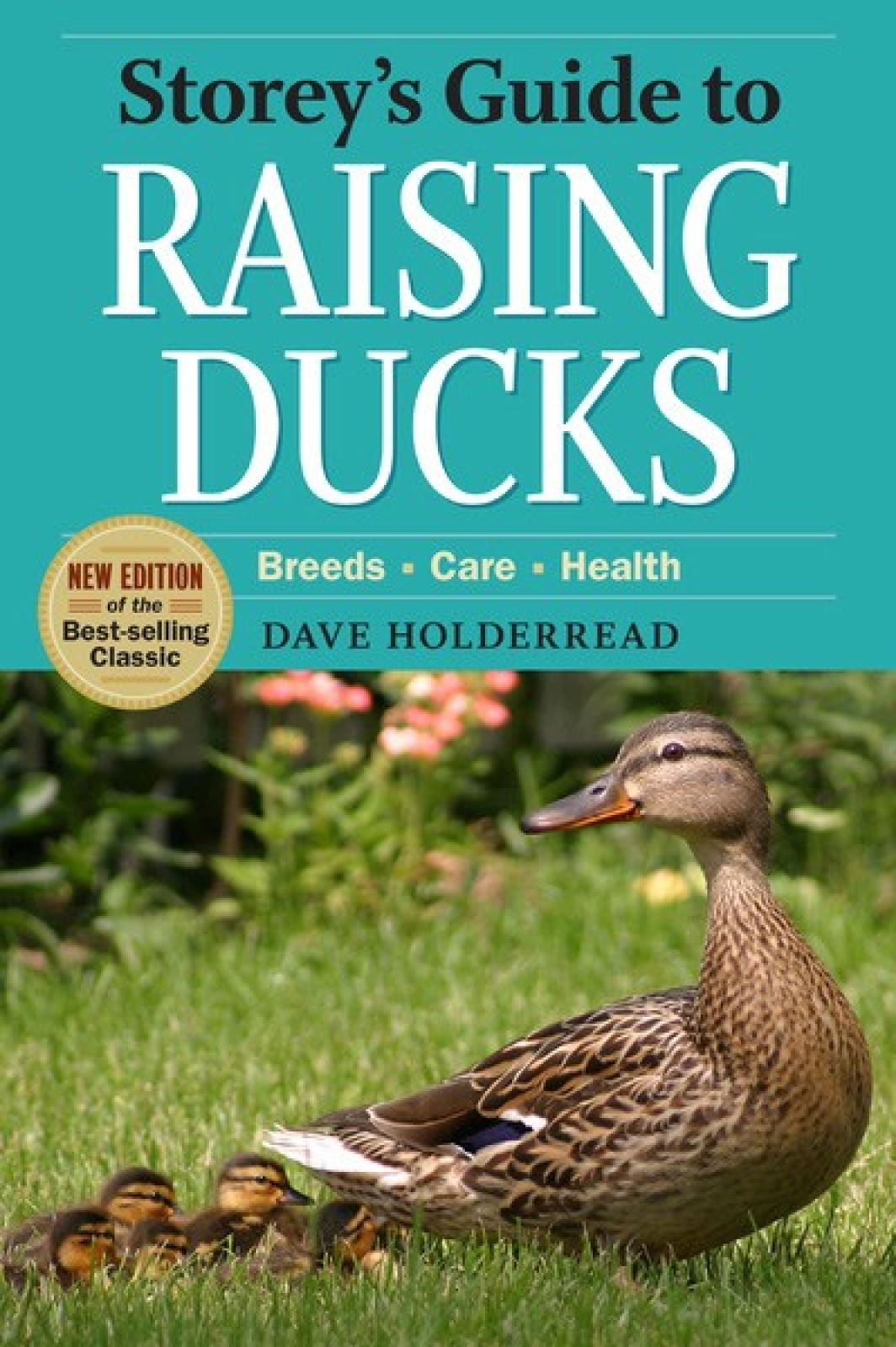 Raising Ducks