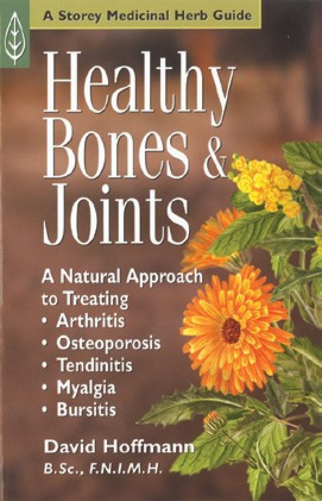 Healthy Bones & Joints