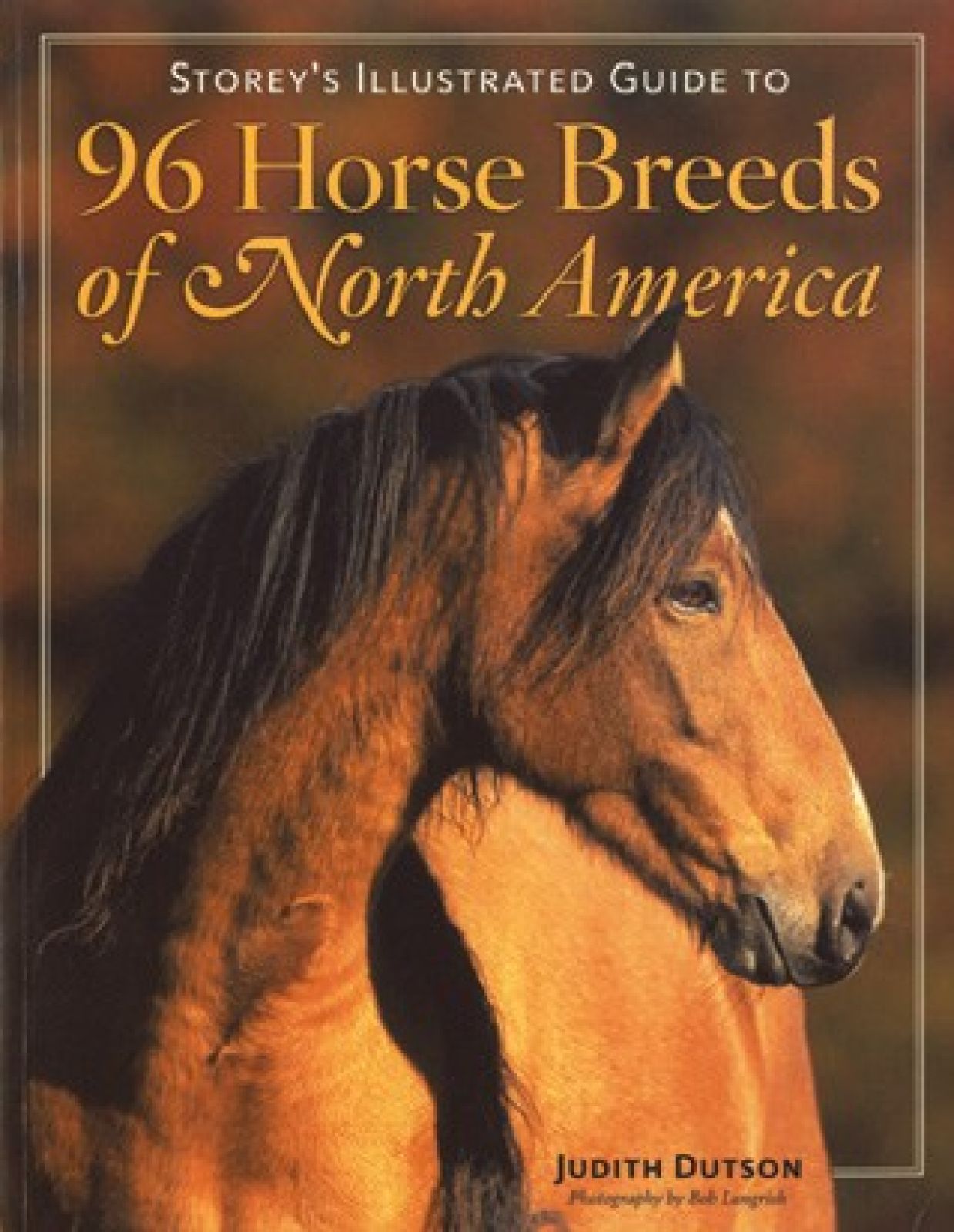 96 Horse Breeds of North America