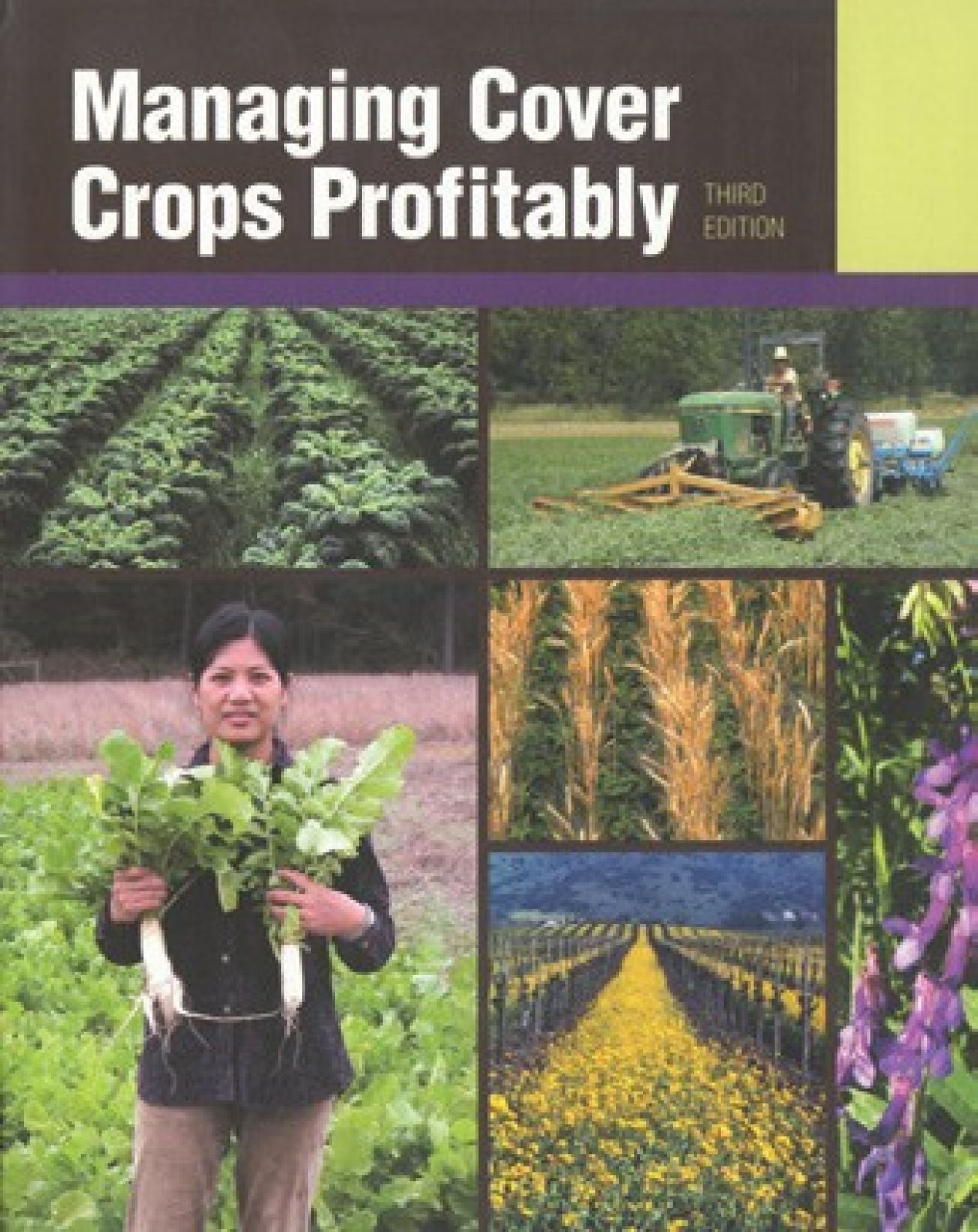 Managing Cover Crops Profitably
