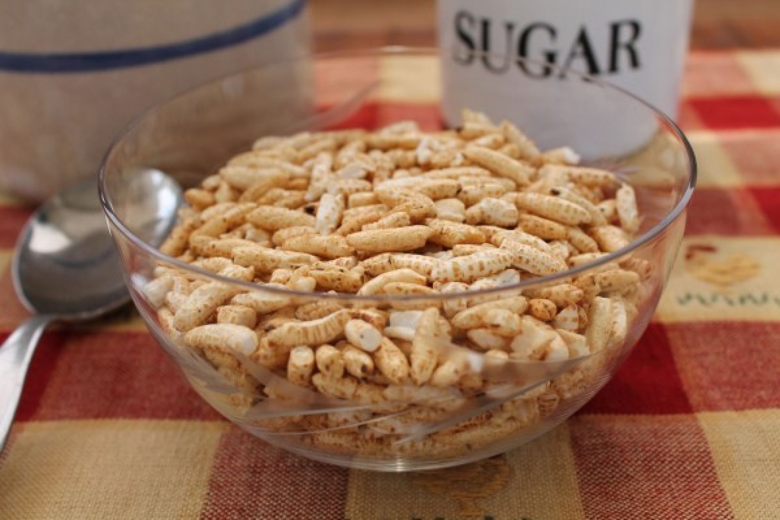 Amish Organic Honey Puffed Rice 8 lb