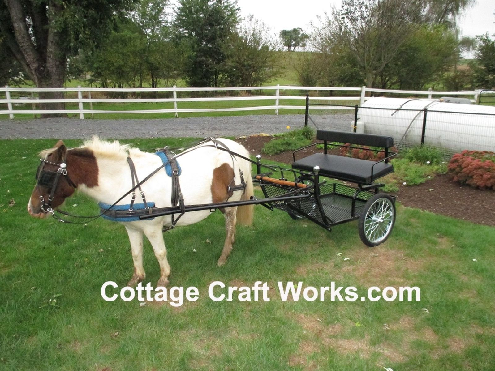 Miniature Pony Cart