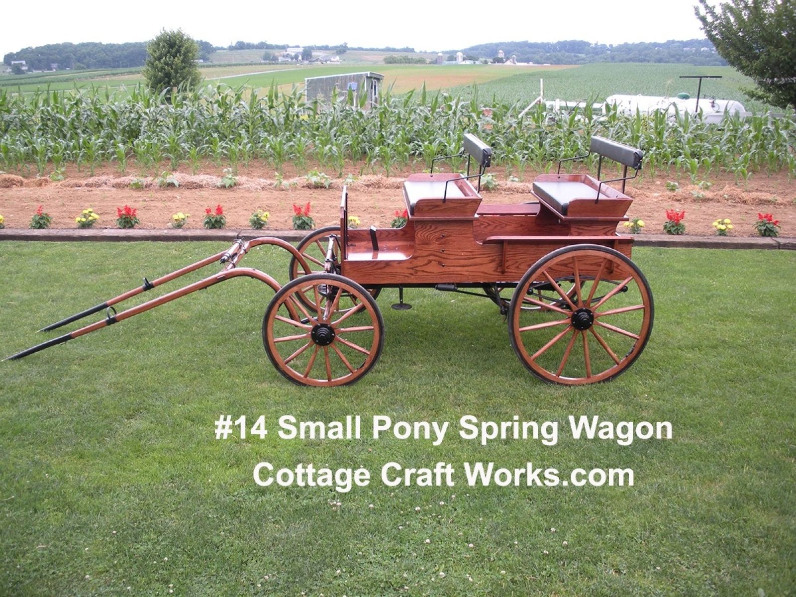 Mini-Pony Size Spring Wagon