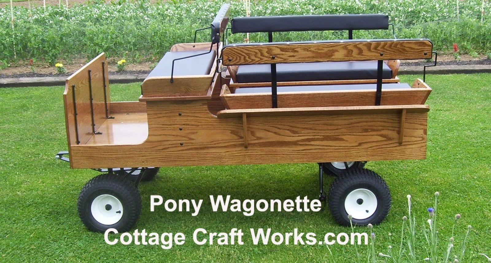 Mini Pony Wagonette