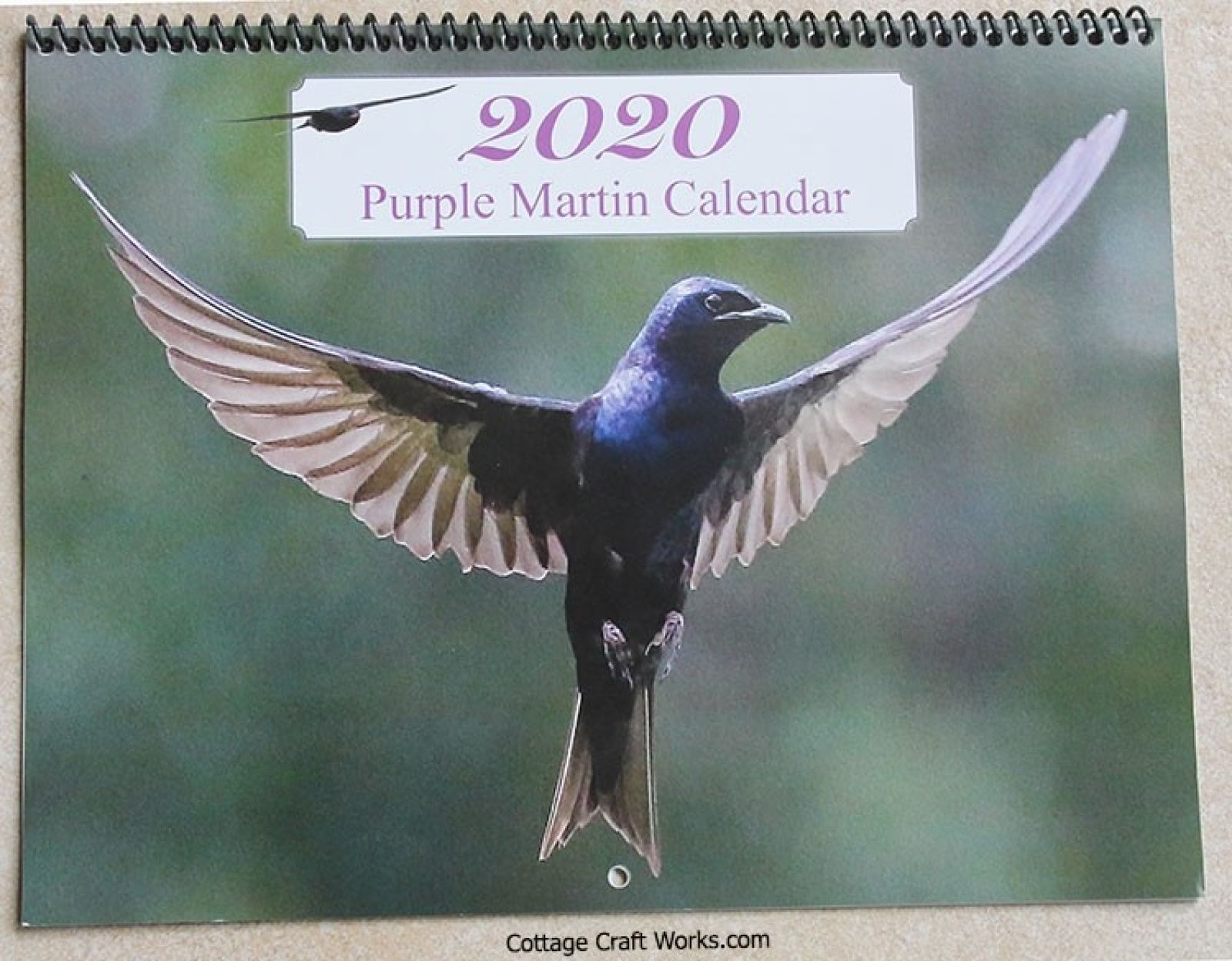 Purple Martin Info Wall Calendar