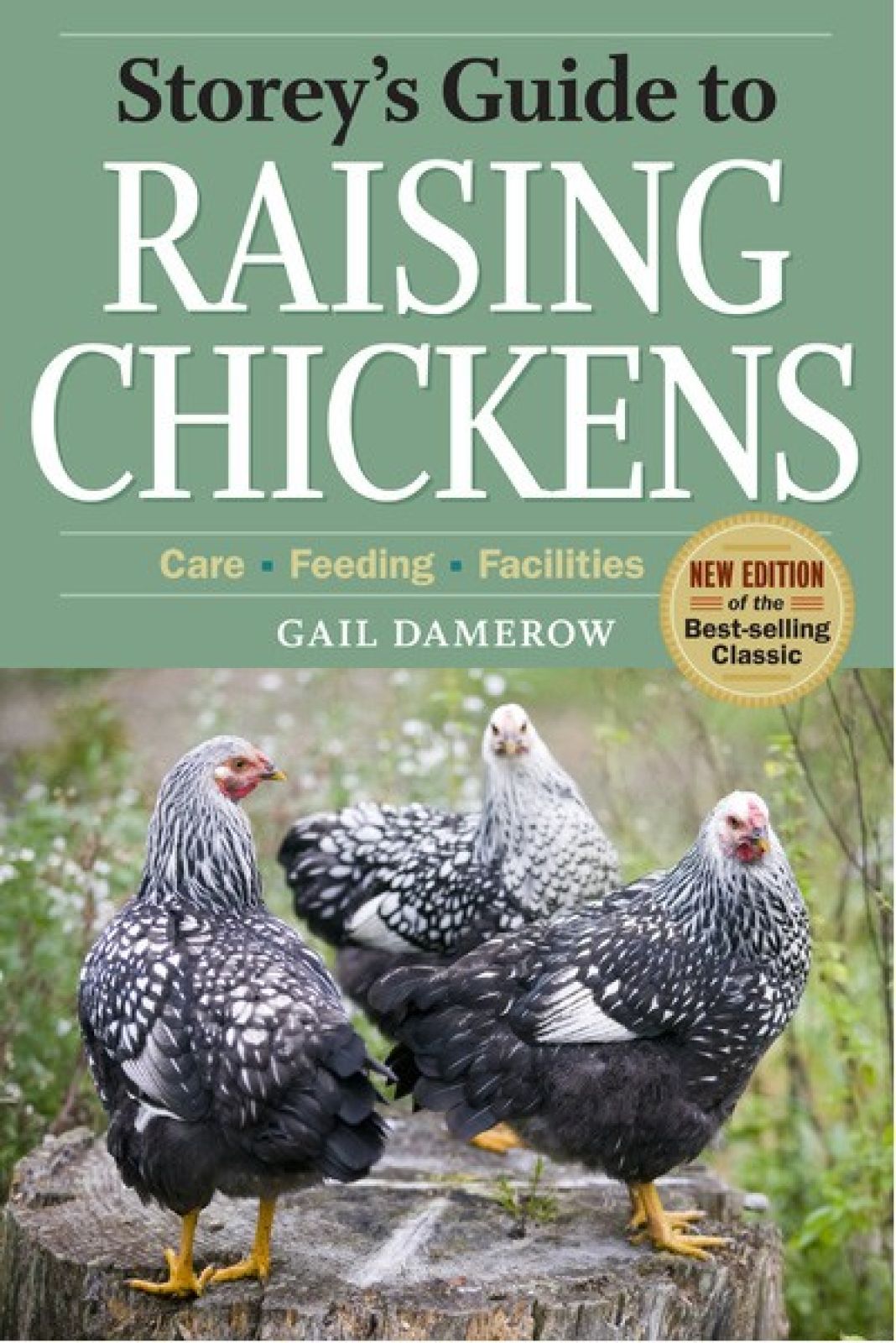 Raising Chickens