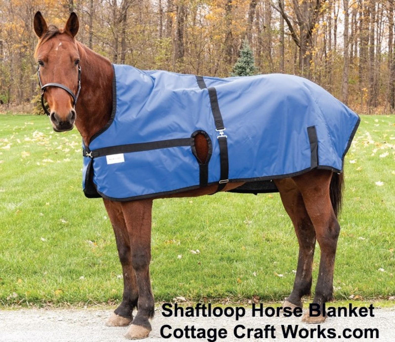 Shaft Loop Horse Blanket