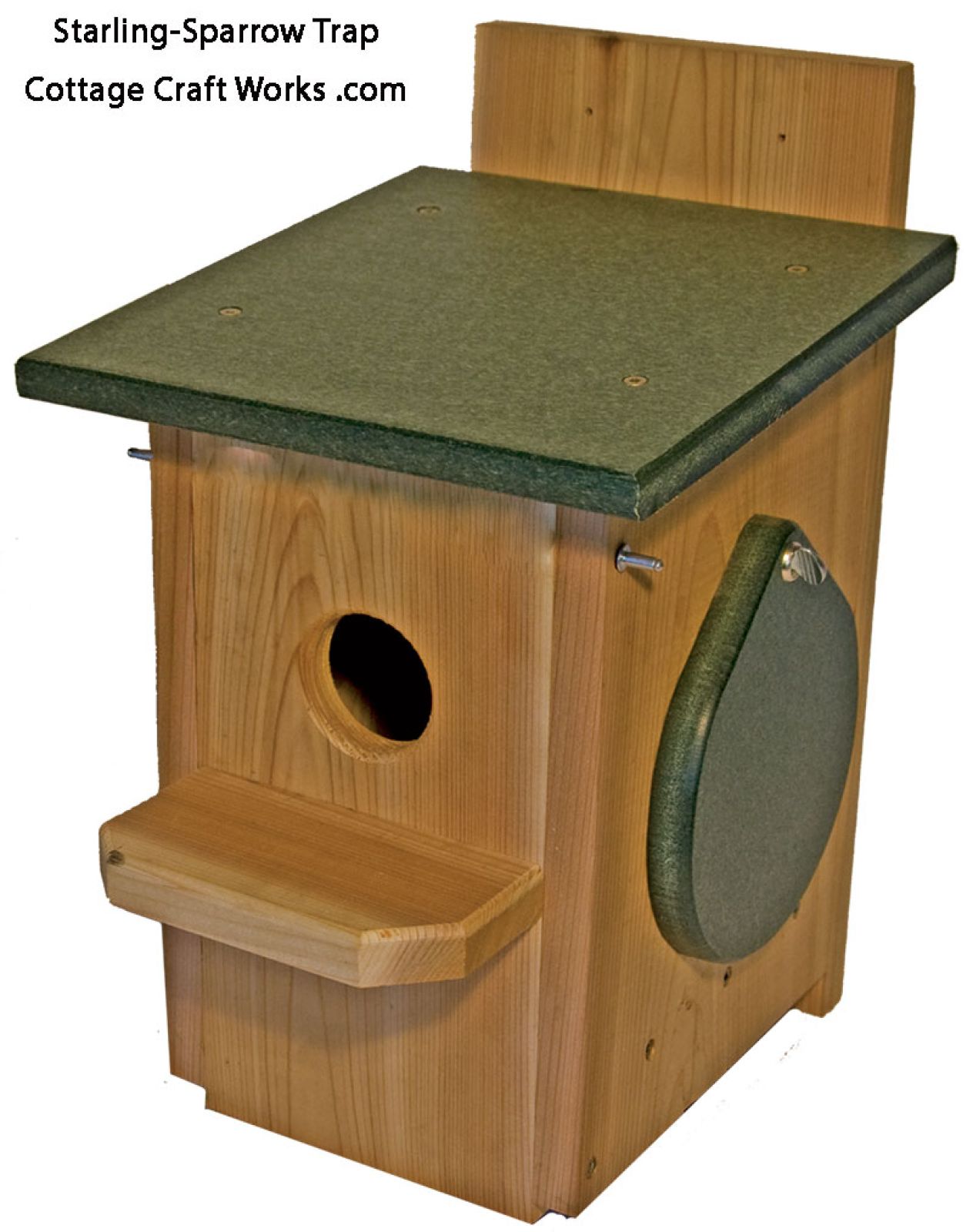 Single Catch Sparrow-Starling Trap