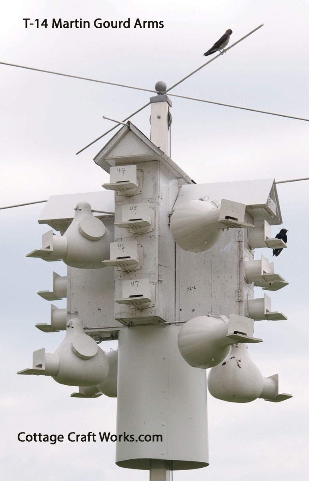 T-14 Martin Gourd Arms