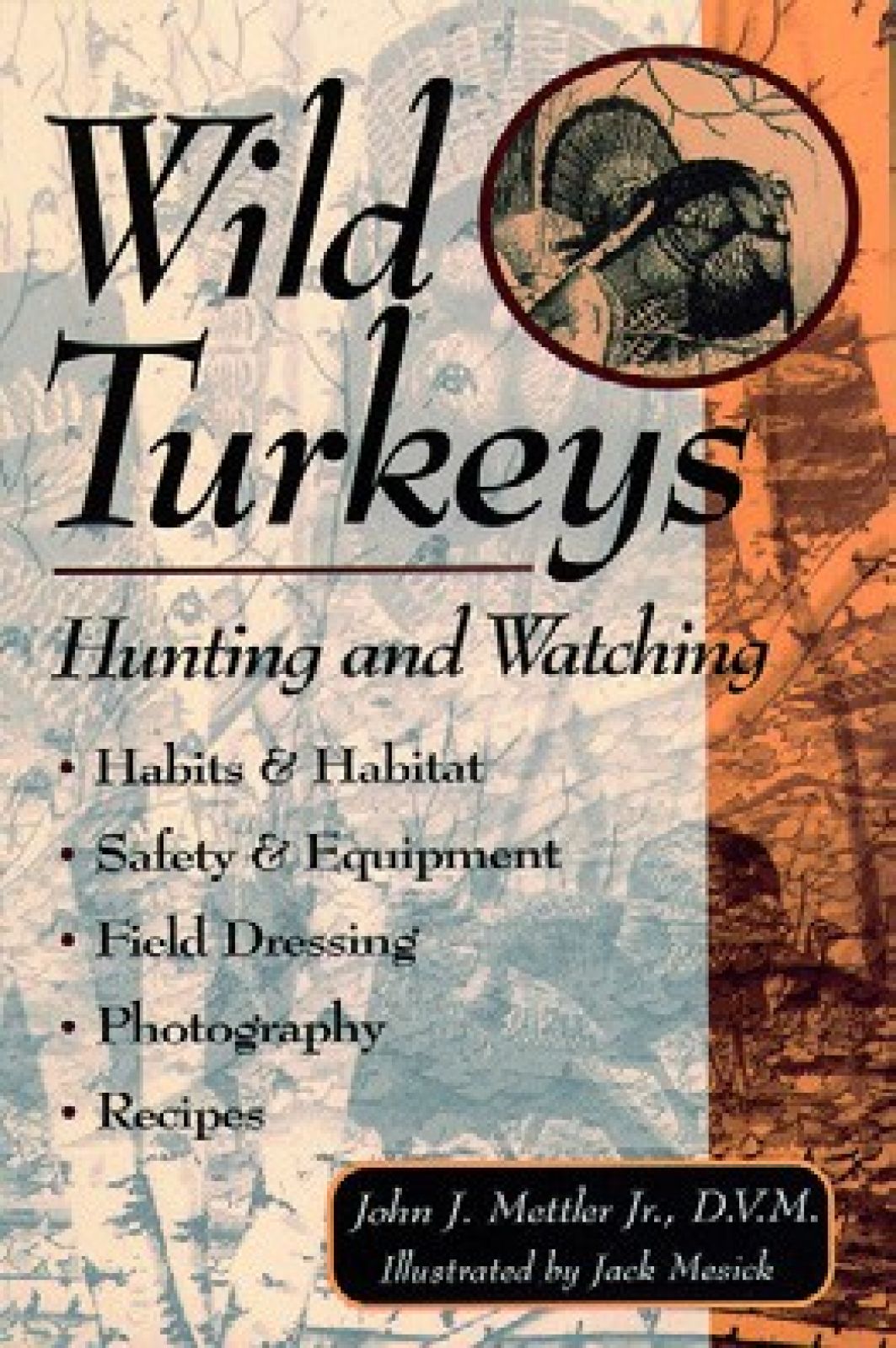 Wild Turkeys: Hunting And Watching