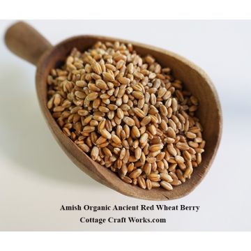 Amish Organic Ancient Red Wheat Berry 25 lb
