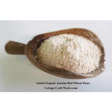 Amish Organic Ancient Red Wheat Flour 25 lb