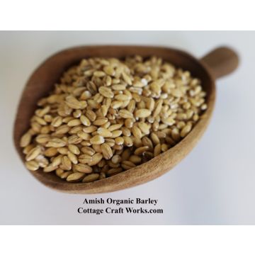 Amish Organic Hulled Barley 25 lb