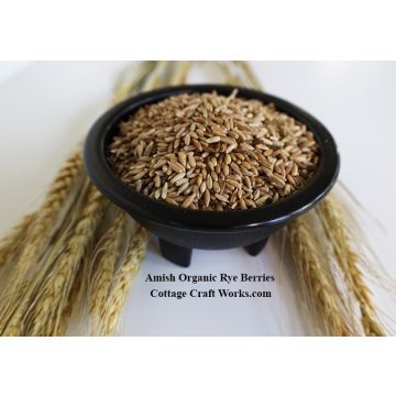 Amish Organic Rye Berries 25 lb