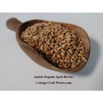 Amish Organic Spelt Berry 25 lb