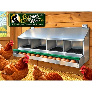 Chicken Rollaway Egg Nesting Box 4 Compartment