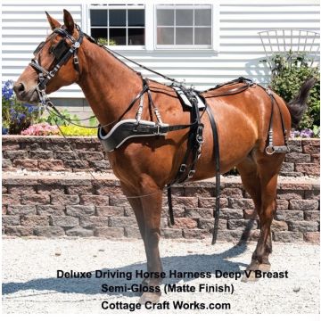 Deluxe Driving Horse Harness Deep V Breast Matte Finish