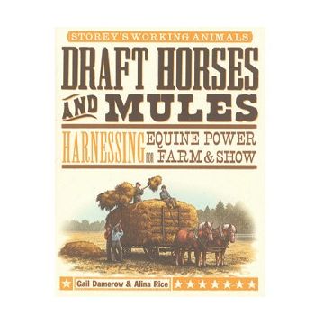 Draft Horses and Mules