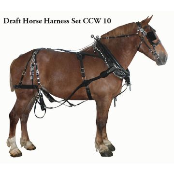 Amish handmade BioThane draft horse team harness set – glossy black with stainless steel hardware