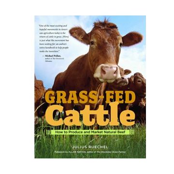 Grass-Fed Cattle