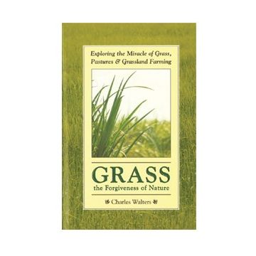 Grass, the Forgiveness of Nature