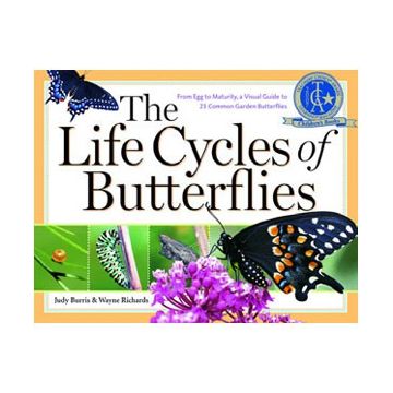 Life Cycles of Butterflies, The