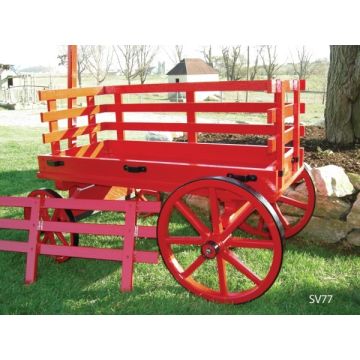 Large Size Express Wagon 