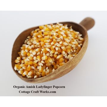 Amish Organic Ladyfinger Popcorn  