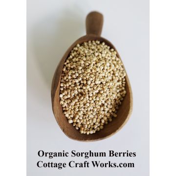 Organic Sorghum Berries