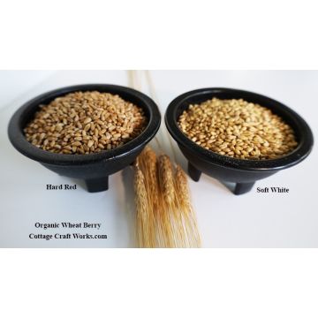 Amish Organic Wheat Berry 25 lb