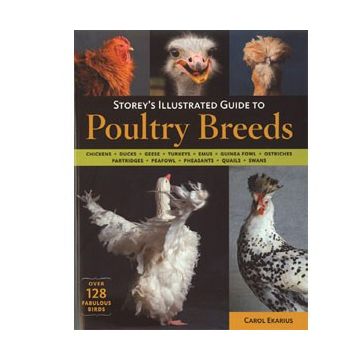 Illustrated Guide to Poultry Breeds