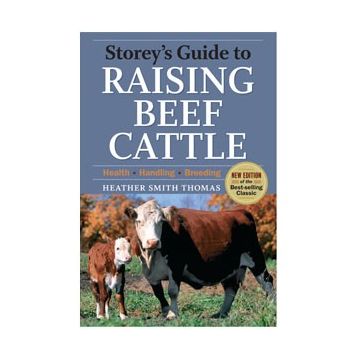 Raising Beef Cattle