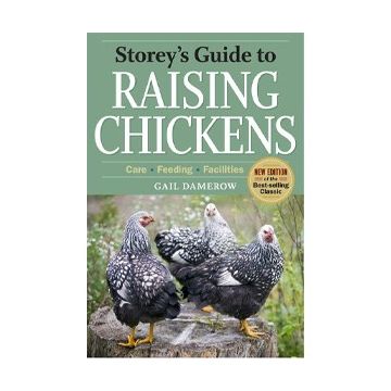 Raising Chickens
