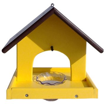 Single Poly Oriole Feeder
