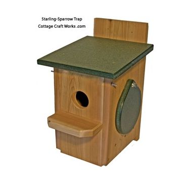 Single Catch Sparrow-Starling Trap