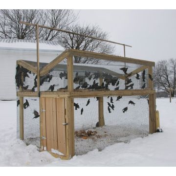 Starling V Trap