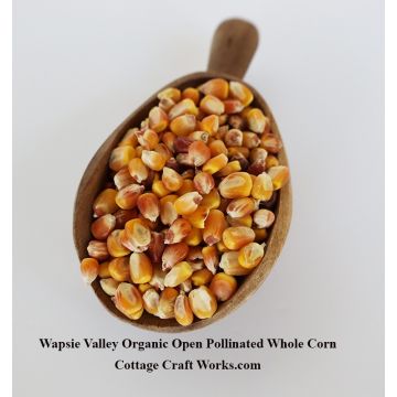 Amish Organic Whole Open Pollinated Corn 25 lb