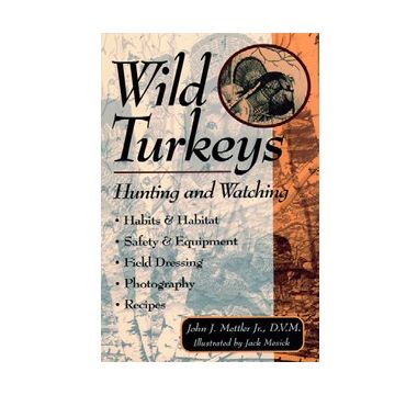 Wild Turkeys: Hunting And Watching