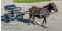 Mini Pony Driving Cart for Kids and Youth Riders